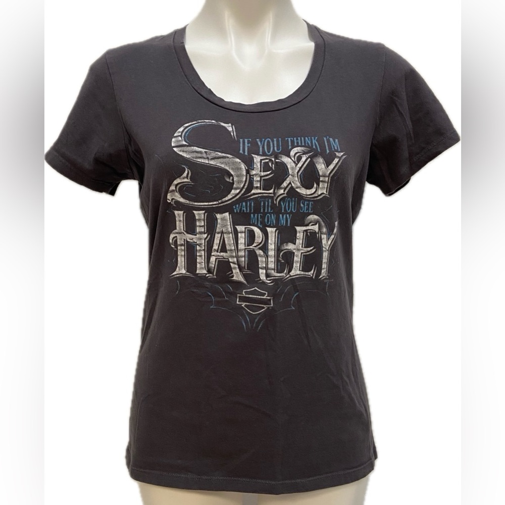 HARLEY DAVIDSON MOTORCYCLES GRAY GRAPHIC SEXY SCOTTSDALE ARIZONE TSHIRT TOP